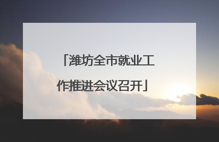 潍坊全市就业工作推进会议召开