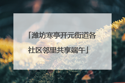 潍坊寒亭开元街道各社区邻里共享端午