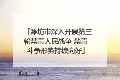 潍坊市深入开展第三轮禁毒人民战争 禁毒斗争形势持续向好
