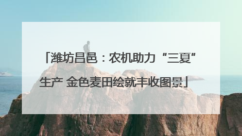 潍坊昌邑：农机助力“三夏”生产 金色麦田绘就丰收图景