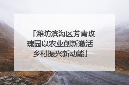 潍坊滨海区芳青玫瑰园以农业创新激活乡村振兴新动能