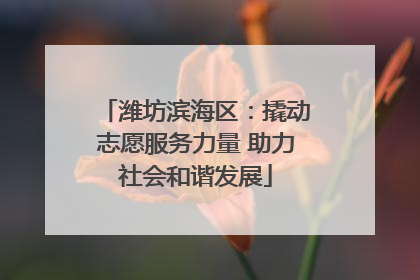 潍坊滨海区：撬动志愿服务力量 助力社会和谐发展