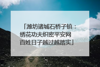 潍坊诸城石桥子镇：绣花功夫织密平安网 百姓日子越过越踏实