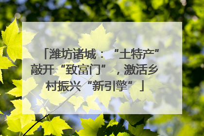 潍坊诸城：“土特产”敲开“致富门”，激活乡村振兴“新引擎”