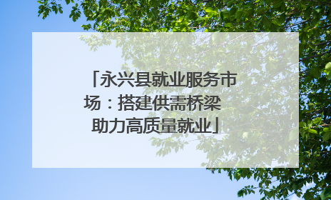 永兴县就业服务市场：搭建供需桥梁 助力高质量就业