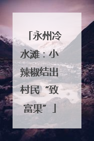 永州冷水滩：小辣椒结出村民“致富果”