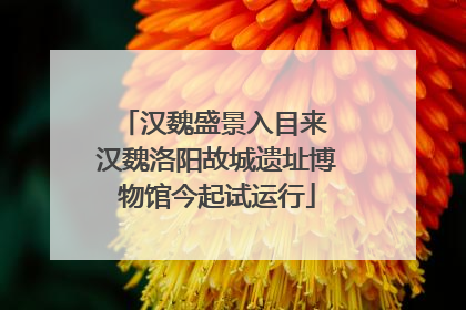 汉魏盛景入目来 汉魏洛阳故城遗址博物馆今起试运行