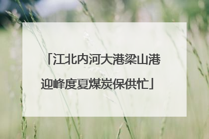 江北内河大港梁山港迎峰度夏煤炭保供忙