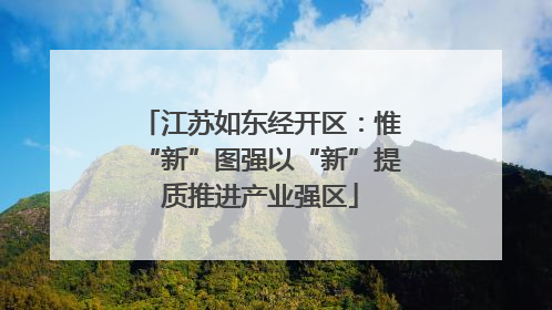 江苏如东经开区：惟“新”图强以“新”提质推进产业强区