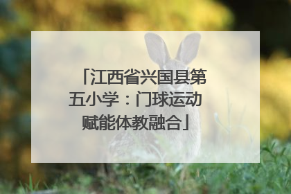 江西省兴国县第五小学：门球运动赋能体教融合