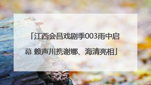 江西会昌戏剧季003雨中启幕 赖声川携谢娜、海清亮相
