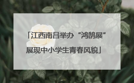 江西南昌举办“鸿鹄展” 展现中小学生青春风貌