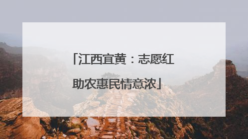 江西宜黄：志愿红助农惠民情意浓