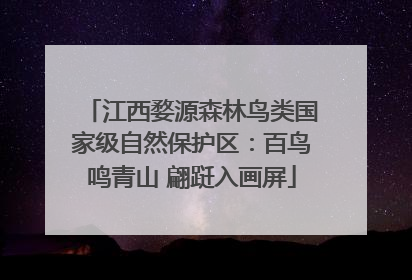 江西婺源森林鸟类国家级自然保护区：百鸟鸣青山 翩跹入画屏