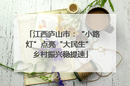 江西庐山市：“小路灯”点亮“大民生” 乡村振兴稳提速