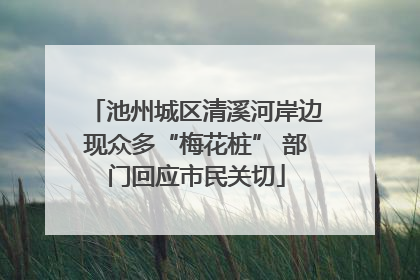 池州城区清溪河岸边现众多“梅花桩” 部门回应市民关切