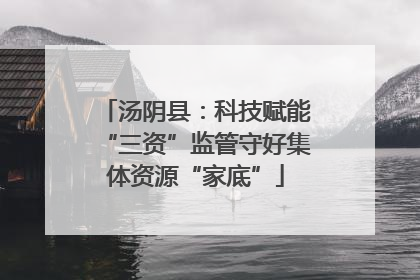 汤阴县：科技赋能“三资”监管守好集体资源“家底”