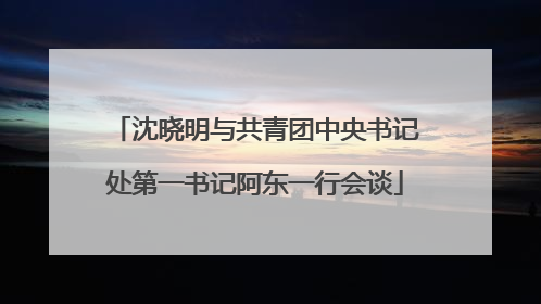 沈晓明与共青团中央书记处第一书记阿东一行会谈