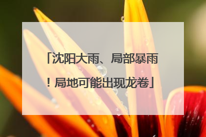 沈阳大雨、局部暴雨！局地可能出现龙卷