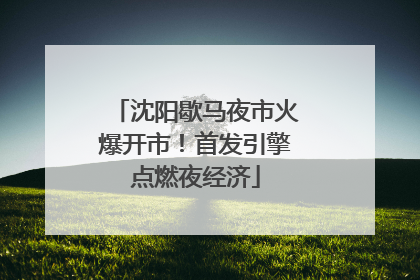 沈阳歇马夜市火爆开市！首发引擎点燃夜经济
