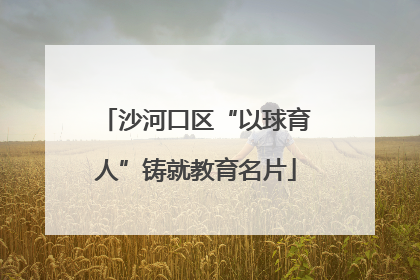 沙河口区“以球育人”铸就教育名片