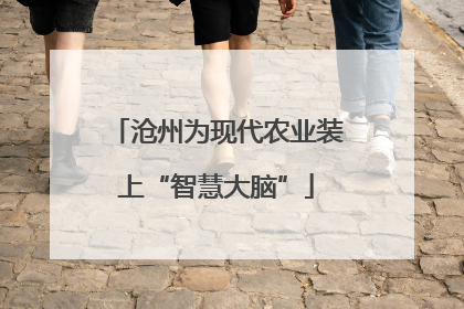 沧州为现代农业装上“智慧大脑”