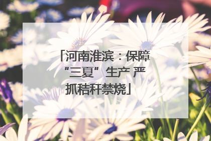 河南淮滨：保障“三夏”生产 严抓秸秆禁烧