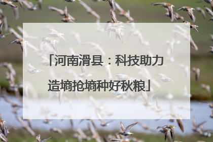 河南滑县：科技助力造墒抢墒种好秋粮