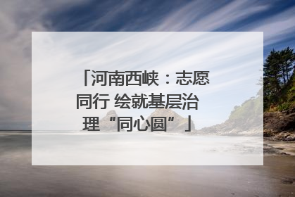 河南西峡：志愿同行 绘就基层治理“同心圆”