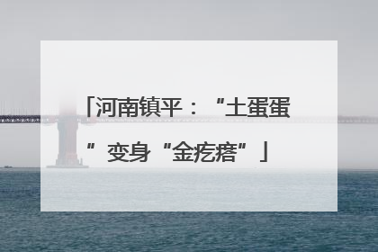 河南镇平：“土蛋蛋”变身“金疙瘩”