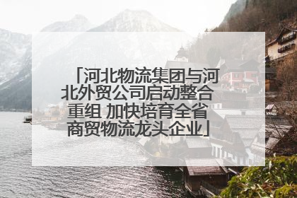 河北物流集团与河北外贸公司启动整合重组 加快培育全省商贸物流龙头企业