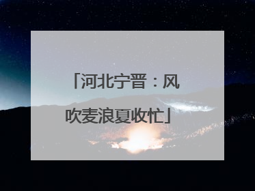 河北宁晋：风吹麦浪夏收忙