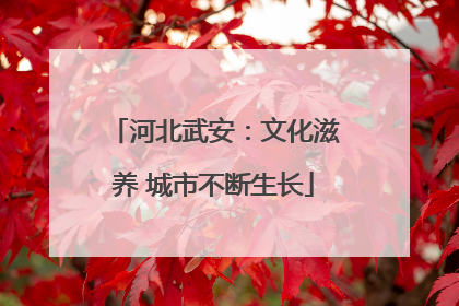 河北武安：文化滋养 城市不断生长