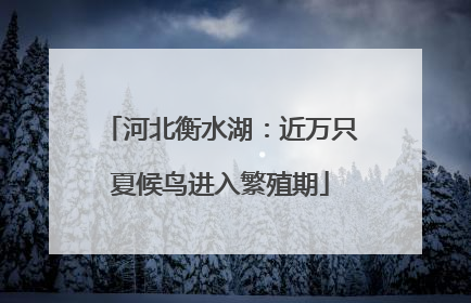 河北衡水湖：近万只夏候鸟进入繁殖期