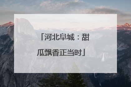 河北阜城：甜瓜飘香正当时