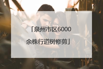 泉州市区6000余株行道树修剪
