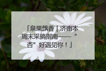 泉果飘香｜济南本周末采摘指南——“杏”好遇见你！