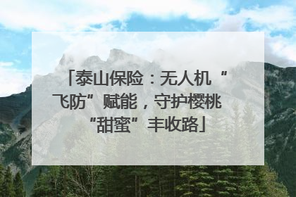 泰山保险：无人机“飞防”赋能，守护樱桃“甜蜜”丰收路