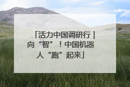 活力中国调研行｜向“智”！中国机器人“跑”起来