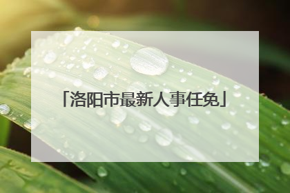 洛阳市最新人事任免