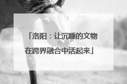 洛阳：让沉睡的文物在跨界融合中活起来