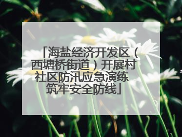 海盐经济开发区（西塘桥街道）开展村社区防汛应急演练 筑牢安全防线