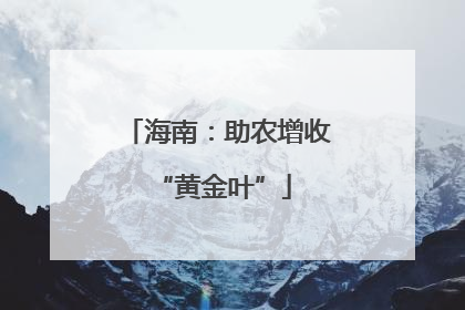 海南：助农增收 “黄金叶”