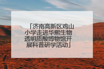 济南高新区鸡山小学走进华熙生物透明质酸博物馆开展科普研学活动