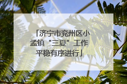 济宁市兖州区小孟镇“三夏”工作平稳有序进行