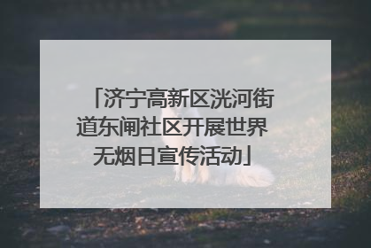济宁高新区洸河街道东闸社区开展世界无烟日宣传活动