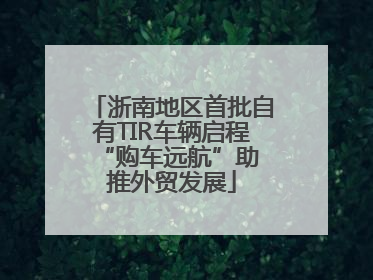 浙南地区首批自有TIR车辆启程 “购车远航”助推外贸发展