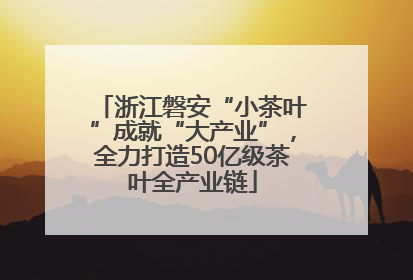 浙江磐安“小茶叶”成就“大产业”，全力打造50亿级茶叶全产业链