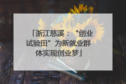 浙江慈溪：“创业试验田”为新就业群体实现创业梦
