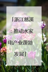 浙江慈溪：推动水家电产业蓬勃发展